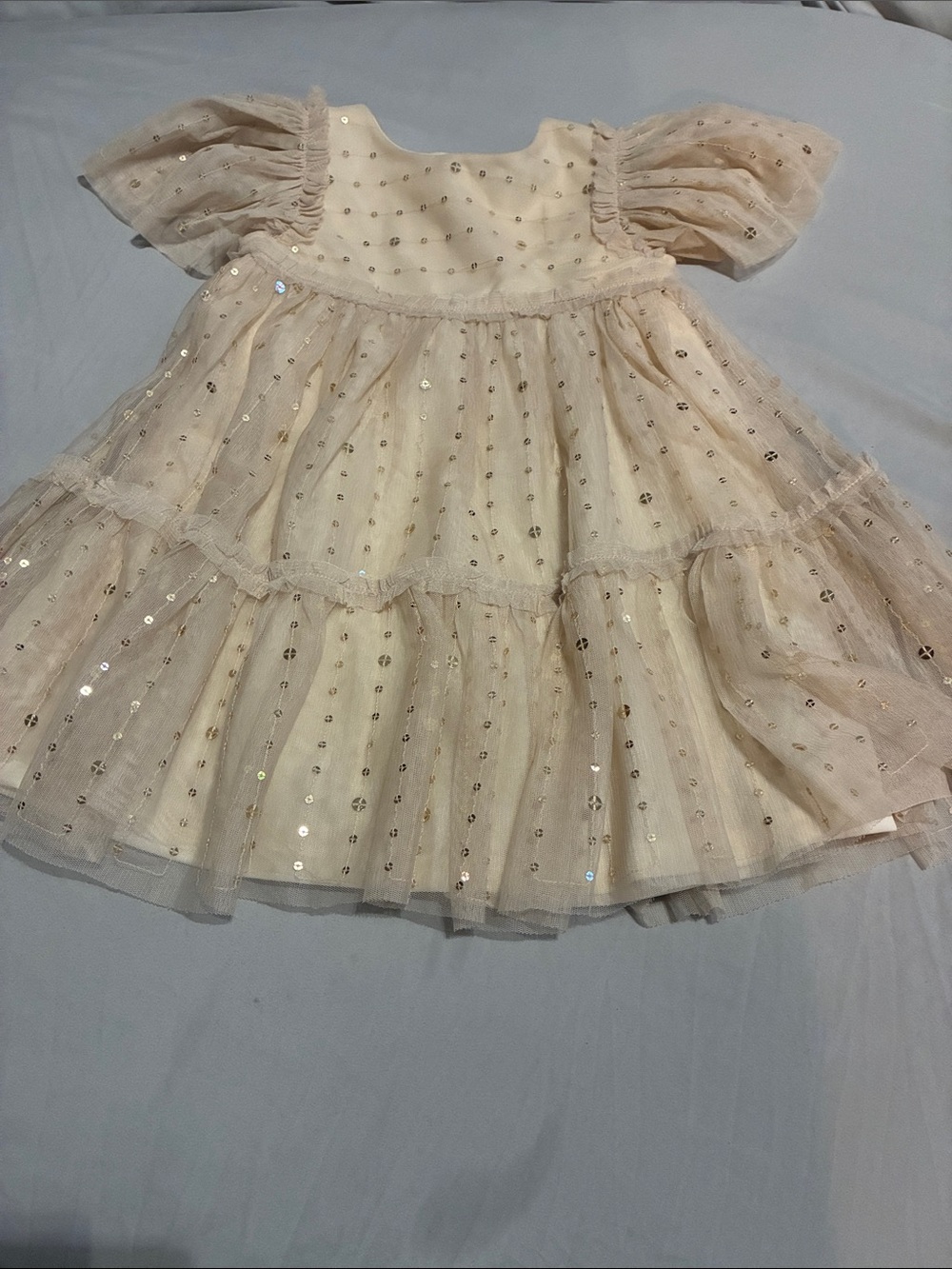 Primark Champagne Sequin Puff Sleeve Tulle Dress